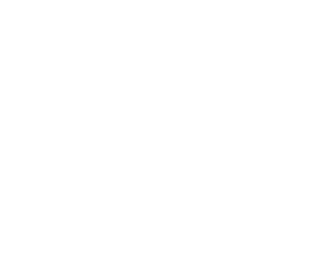 logo fenice bianco